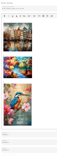 Voorbeeld van een complete stemronde met foto's